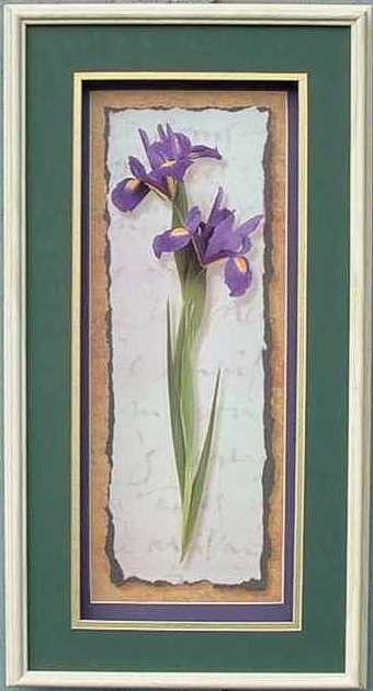 White Ash Shadow Box Frame size 12x24 for 8x20 3D Kit