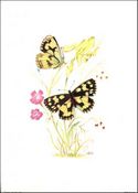 Available in size 5x7 inches