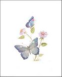 Available in Size 8x10 Inches