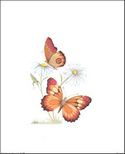 Available in Size 8x10 Inches