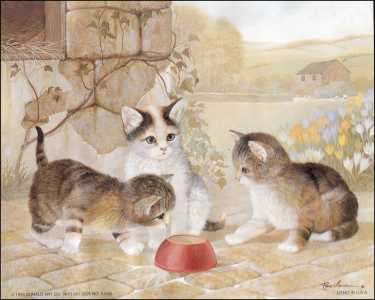 51420_Spilt_Milk_Pg32_WEB.jpg