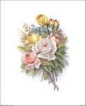 Available in Size 8x10 Inches