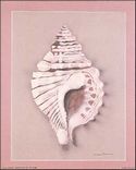 Available in Size 8x10 inches