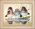 Available in Size 8x10 Inches