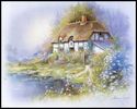 Available in Sizes 8x10 & 16x20 Inches